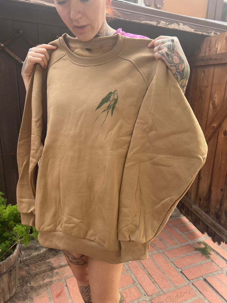 Image of Found stock!!!