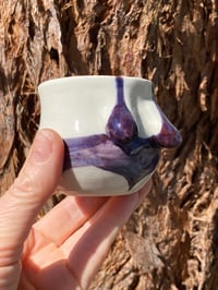 Image 7 of HOT Shot Swimers Cups