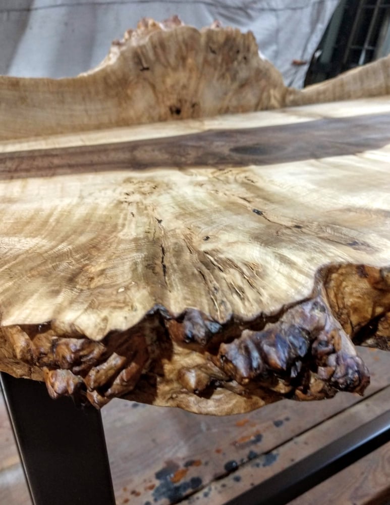 Image of Sweet Bay Magnolia Burl