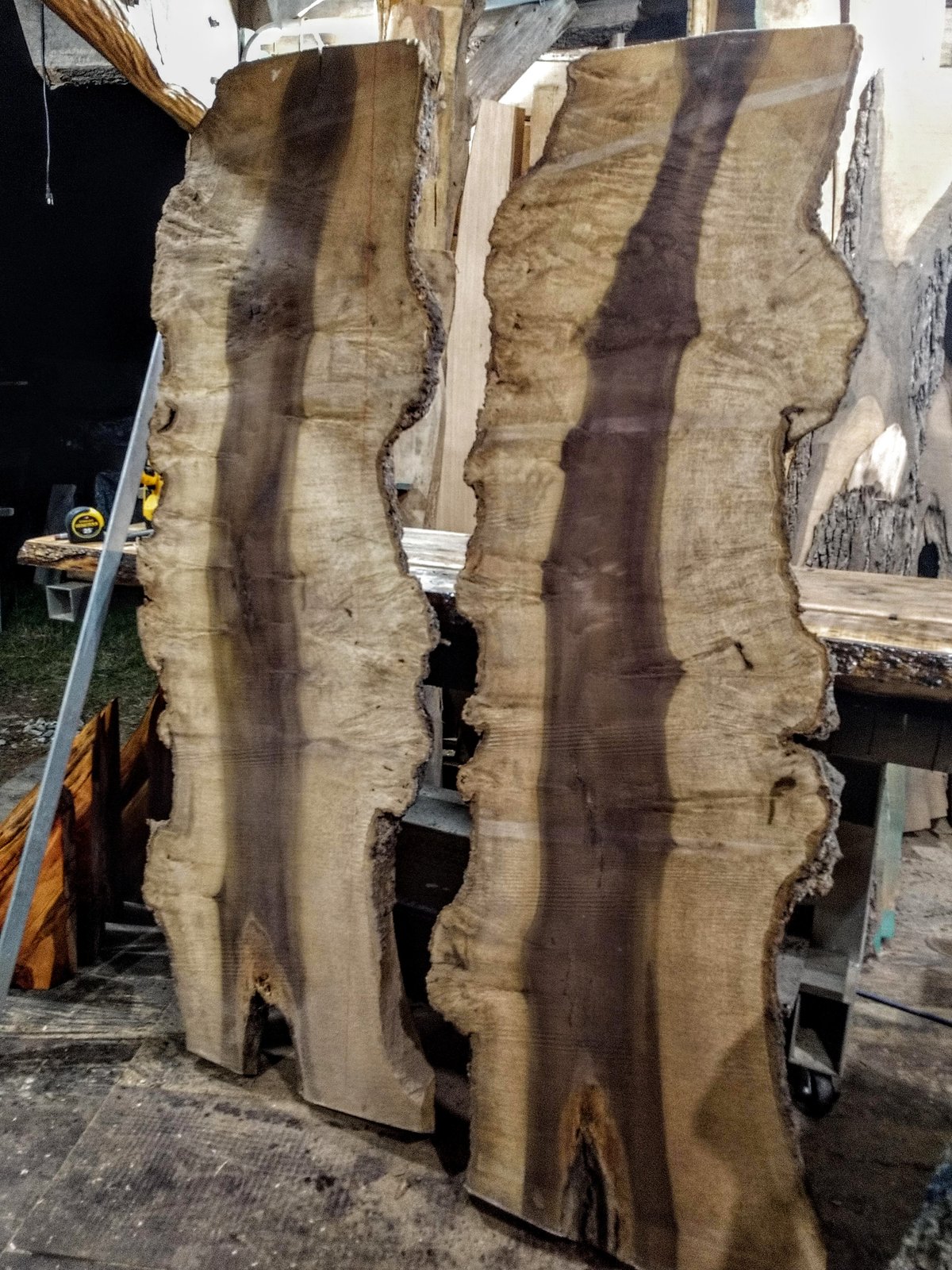 Sweet Bay Magnolia Burl / Rebel Ventures Inc. Sweet Bay Magnolia Burl / Rebel Ventures Inc.