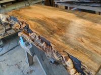 Image 4 of (Florida Red) Maple