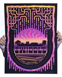 Image 1 of Twiddle - South Farms 2020 Poster