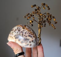 Tiger Eye Chip Tree “grown” in Tiger Cowrie 🐌