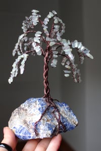 Prehnite Chip Tree on Sodalite Chunk 