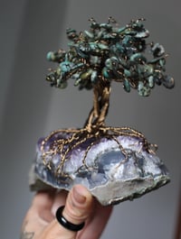 Image 2 of African Turquoise Tree “grown”  on  Amethyst 