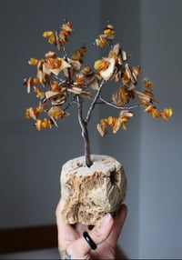 Amber & Wood Wire Tree on Driftwood 
