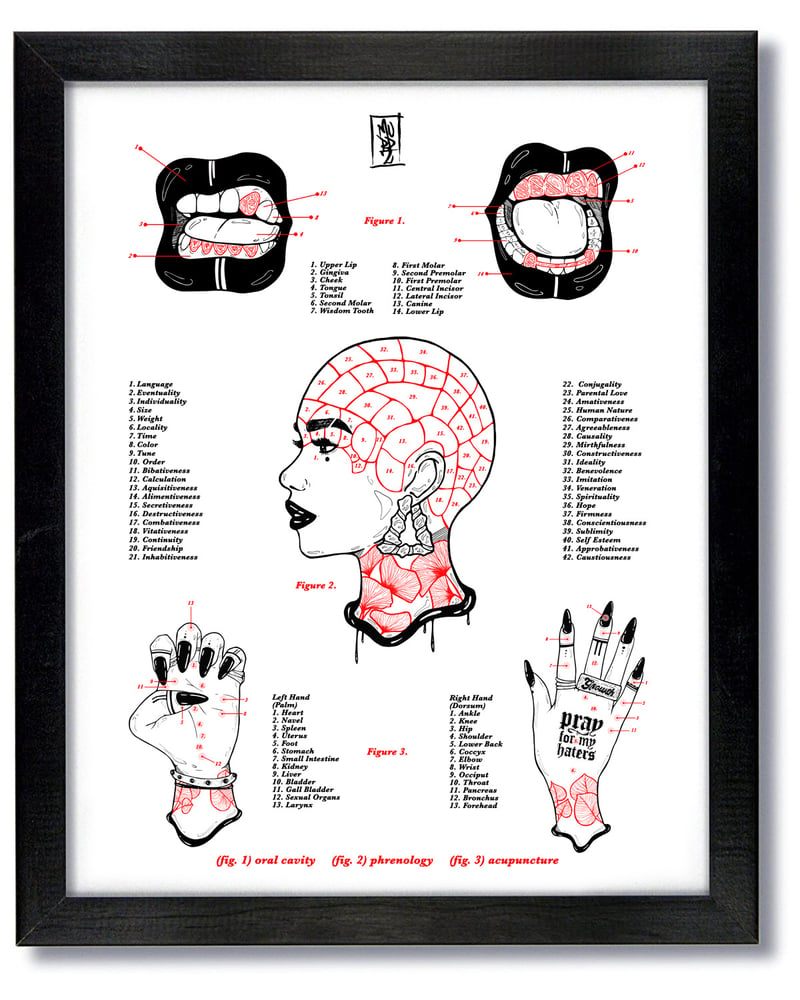 Image of DIAGRAMS - 16x20 Print (Oral Cavity, Phrenology, Acupuncture)