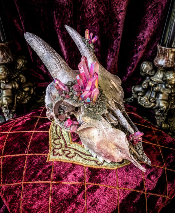 Image of Rose Gold & Pink Aura Quartz Crystallized -Goat Skull