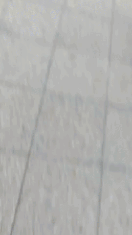 YEAH WHITE