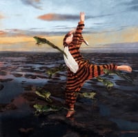 Rumpus- Mark Gleason