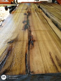 Image 1 of Poplar (Rainbow/Tulip)