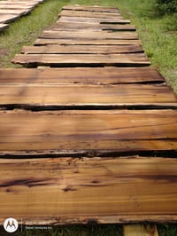 Image 4 of Poplar (Rainbow/Tulip)