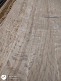 Image 2 of Oak, Live 