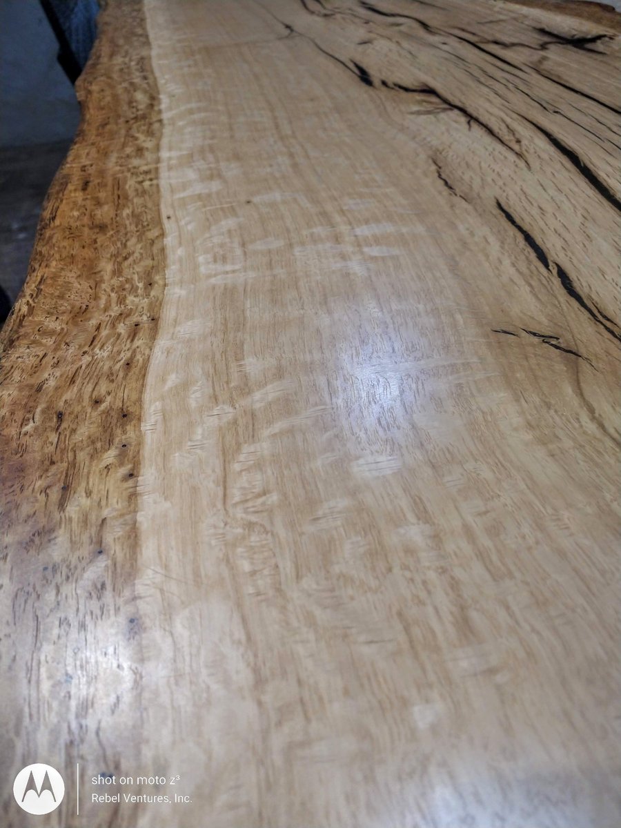 Live Oak Lumber Ubicaciondepersonas cdmx gob mx live-oak-lumber-ubicaciondepersonas-cdmx-gob-mx