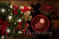 Baby Christmas Sessions - Babies 3 months and under
