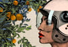 Tangerine Lamp Shade