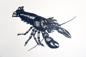 Image of Lobster (Navy)