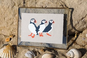 Image of Puffins