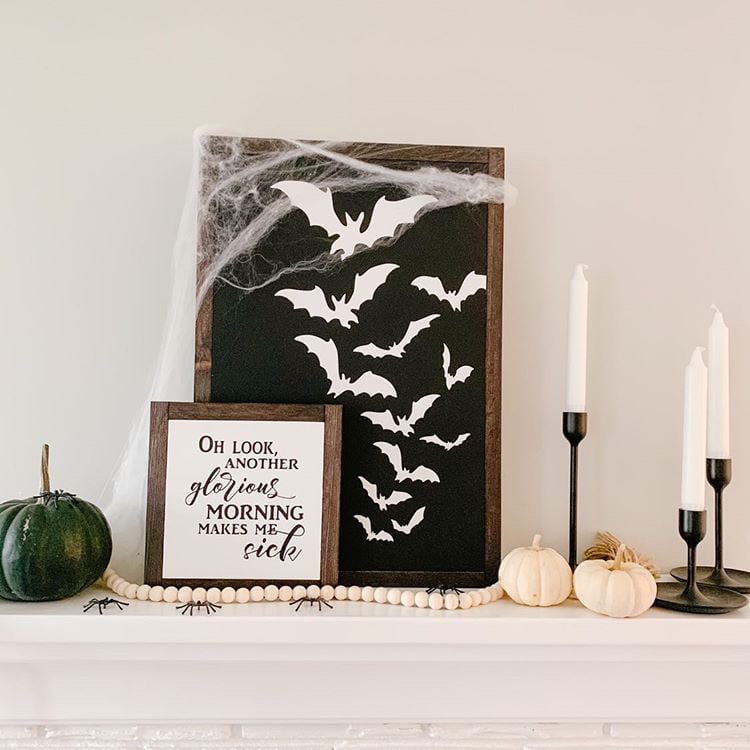 Image of Bats
