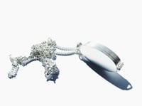 Image 1 of Silver Locket Necklace 