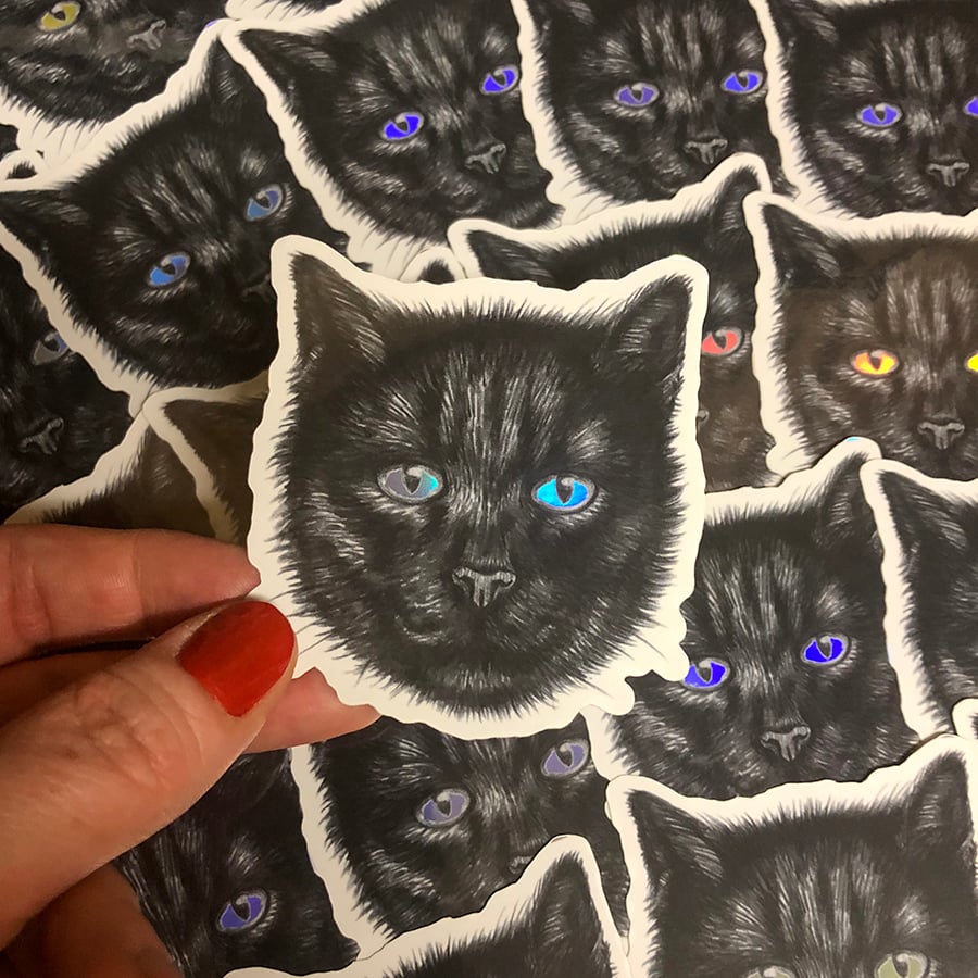 Image of Black Cat Sticker