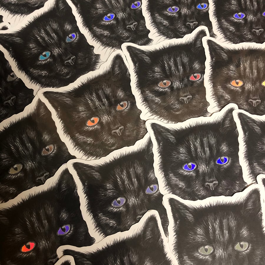 Image of Black Cat Sticker