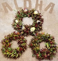 PROTEA SEASONAL WREATH - STANDARD SIZE