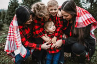 Image 2 of Tree Farm Mini Sessions