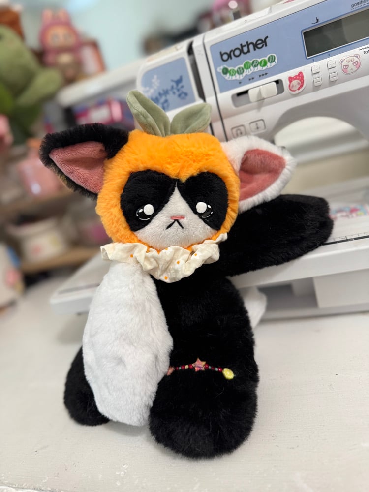 Image of tangerine ππββ¬
