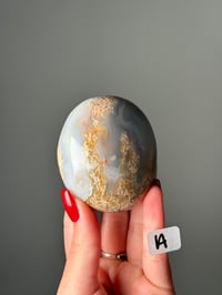 Image 1 of ONE OF A KIND AGATE PALM STONES