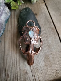 Image 4 of Muskrat Skull with Moonstone