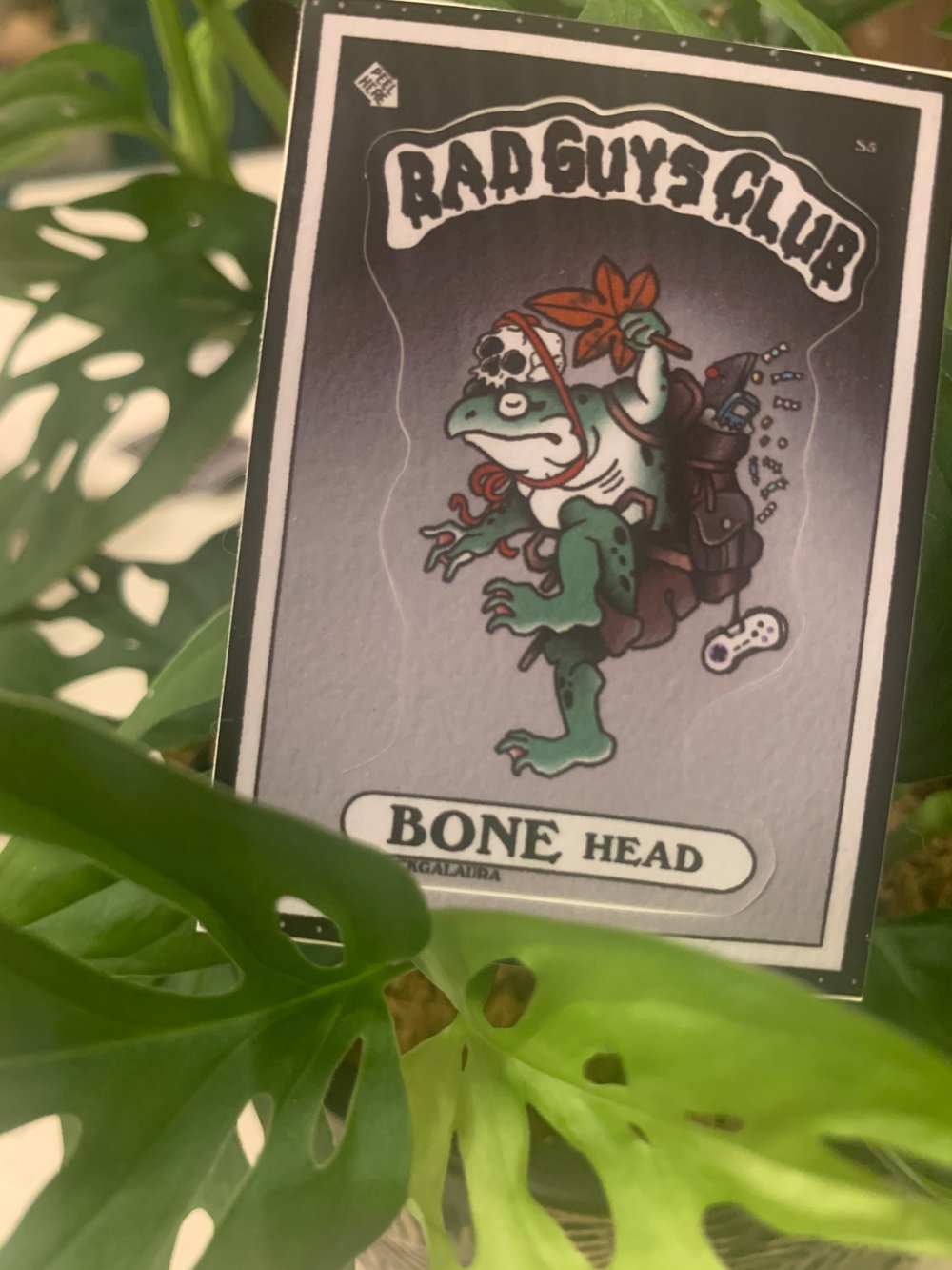 Image of Bone-Head Sticker