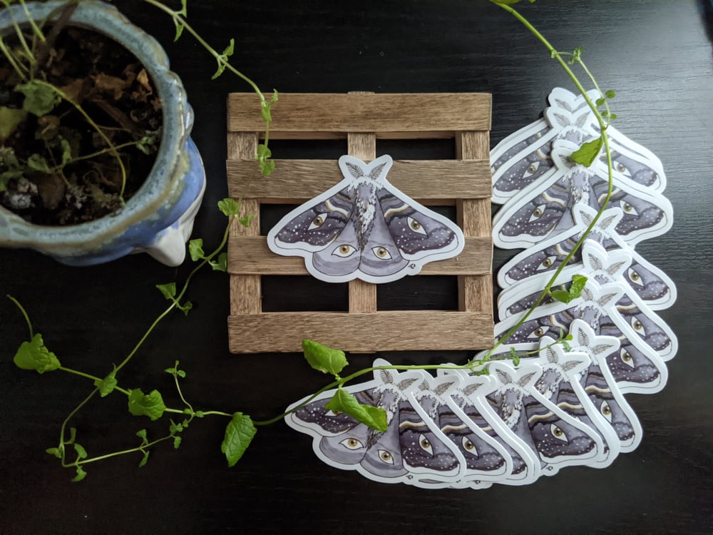 Image of Eye Moth Sticker