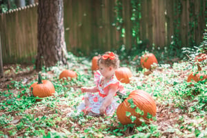 Image of Pumpkin Patch Minis - Sat. 10/22/22 Morning