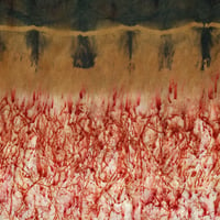 Image 5 of Roots of Fire - ecoprint and plant dyed silk scarf