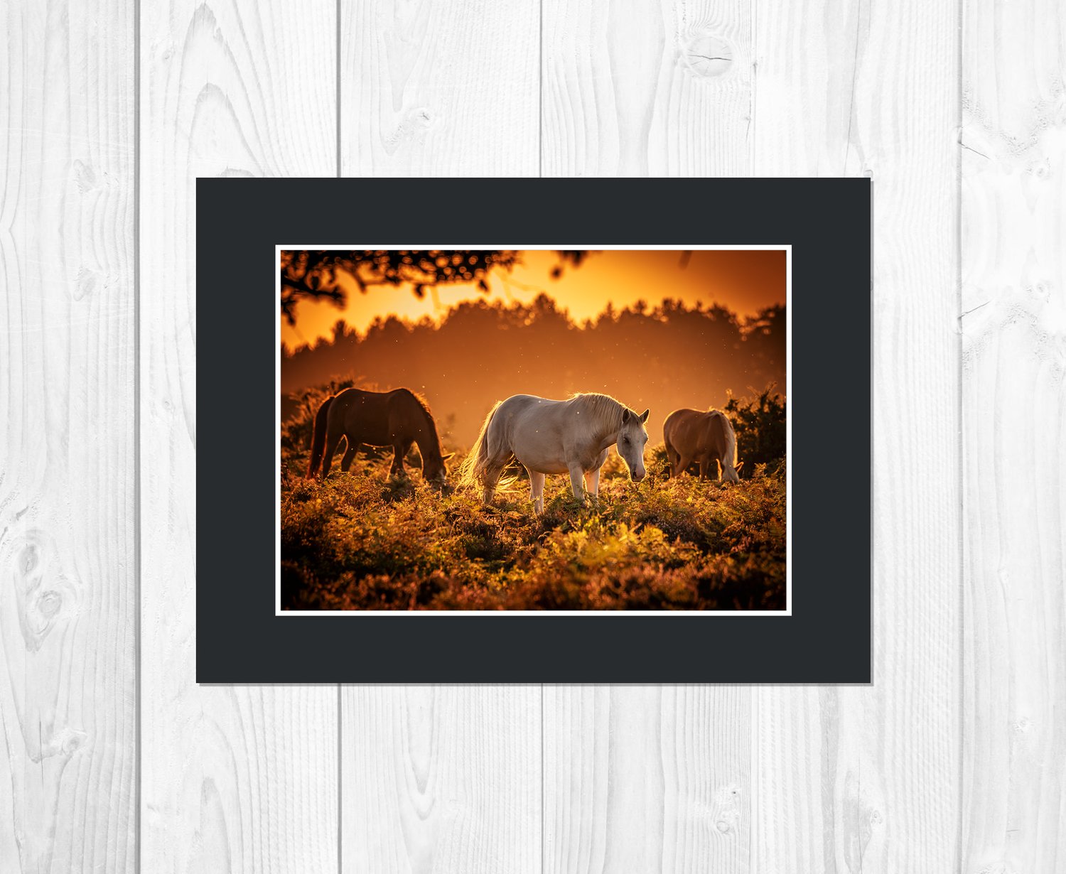 Limited Edition Print: "Sunset Horses"