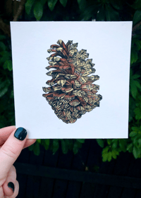 OG Pinecone 