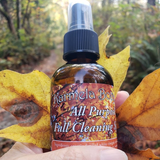 Image of Fall Cleaning Solution