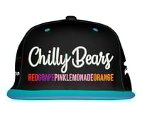 Image 5 of The Original Charleo Chilly Bear Flat Brims