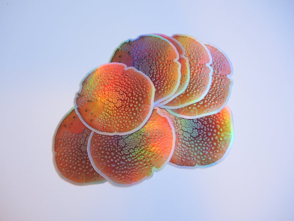 Holographic Amanita Cap Sticker