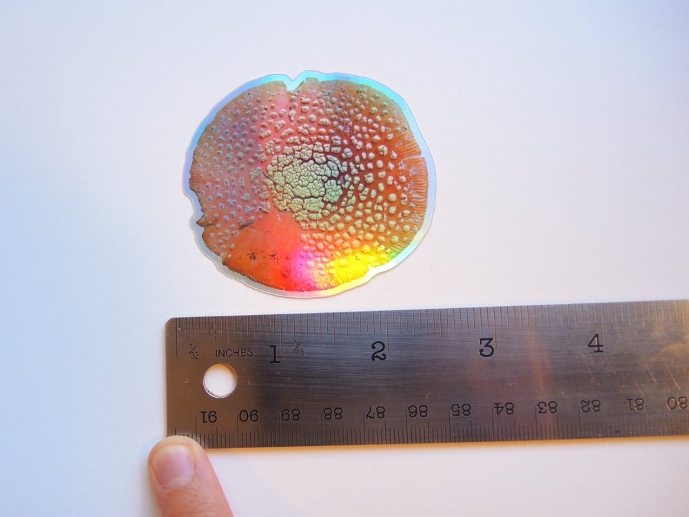 Holographic Amanita Cap Sticker