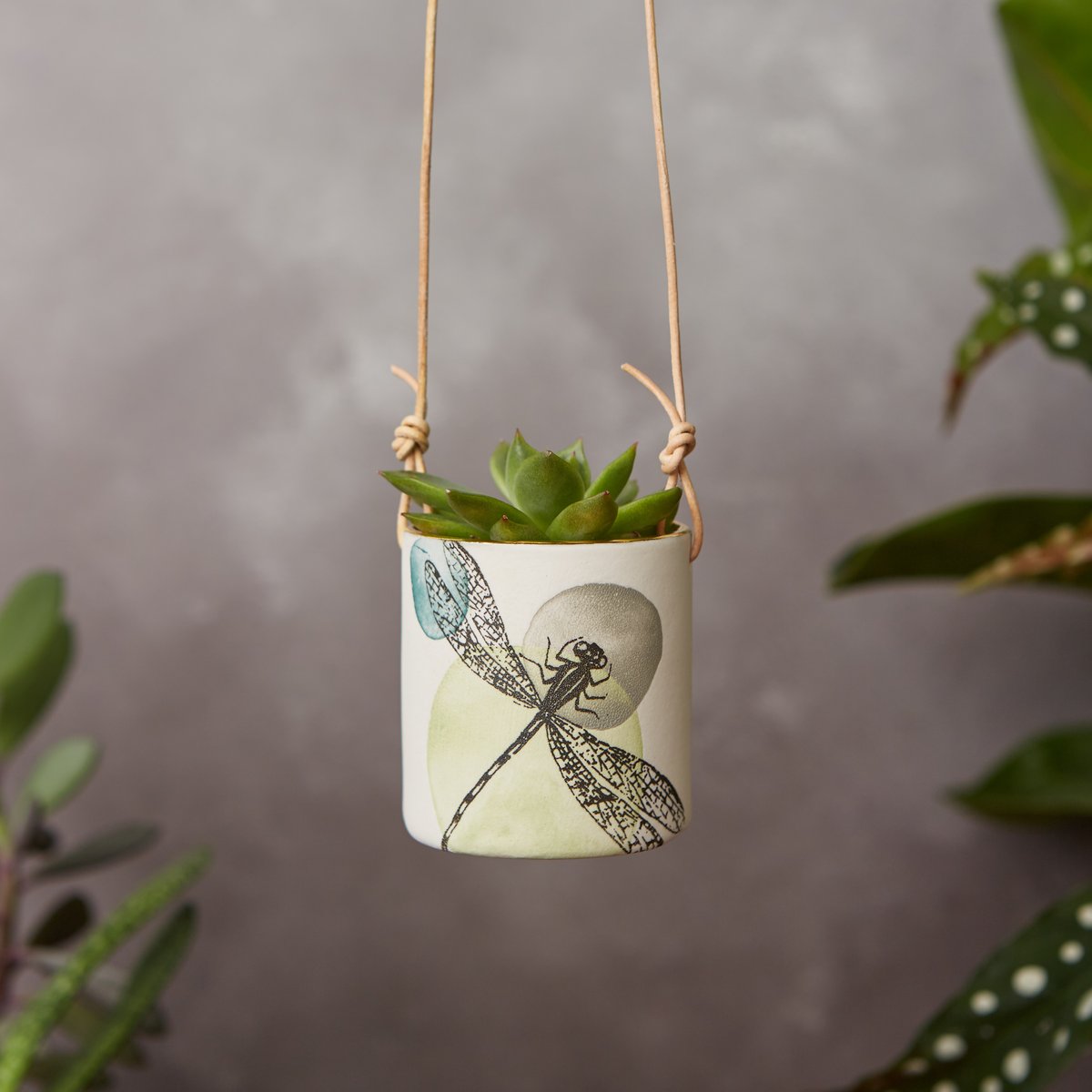Small porcelain dragonfly hanging planter
