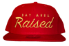 RED & GOLD SNAP BACK