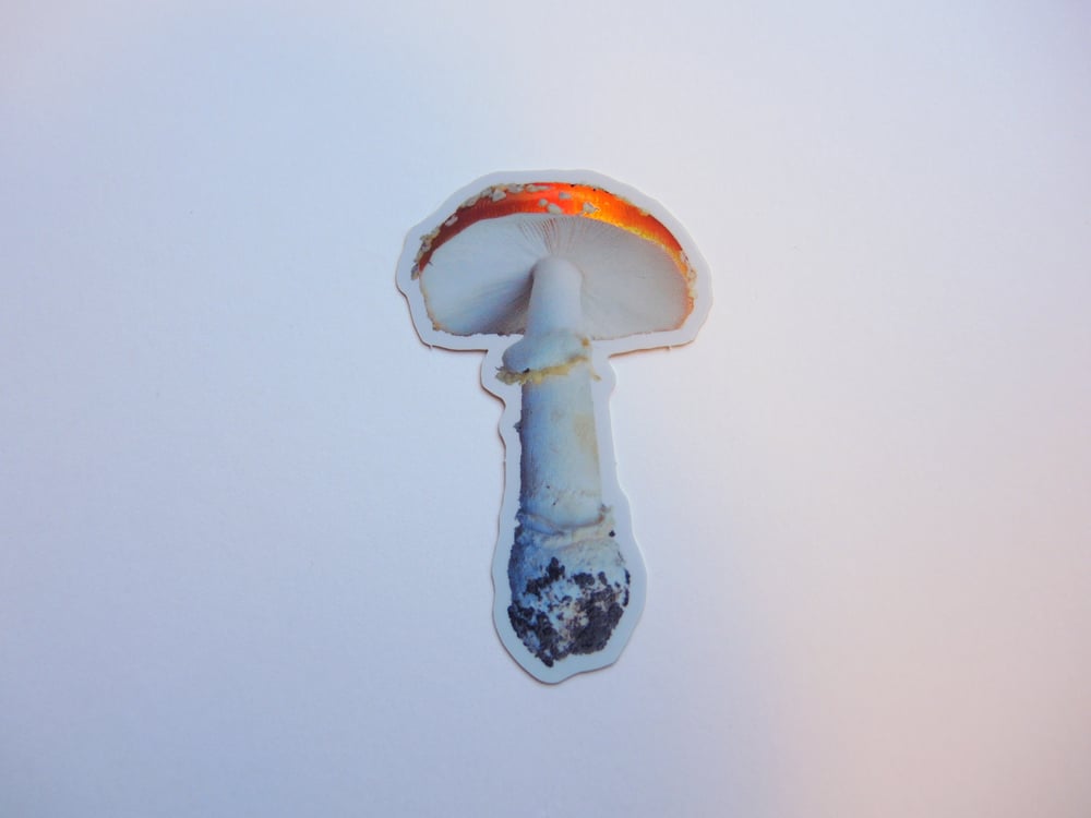 Holographic Amanita Mushroom Sticker