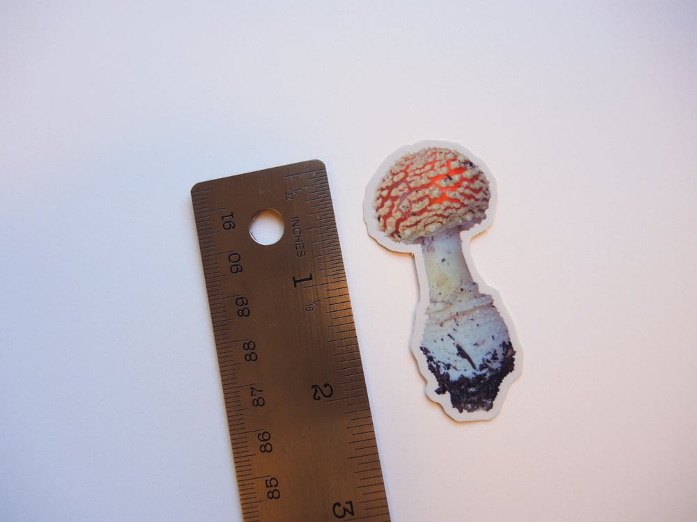 Holographic Amanita Button Sticker