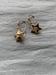 Image of Shining Star Earrings