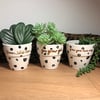 WILD POTS