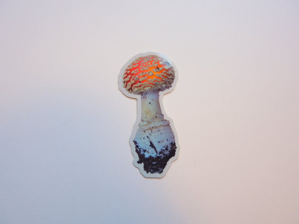 Holographic Mushroom Sticker Trio