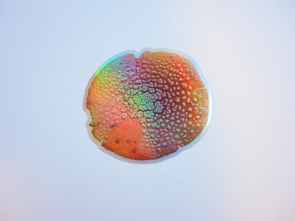 Holographic Mushroom Sticker Trio