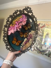 Image 2 of Monarch Butterflies Antique Frame